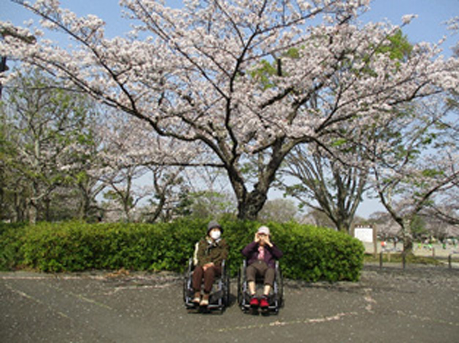 お花見