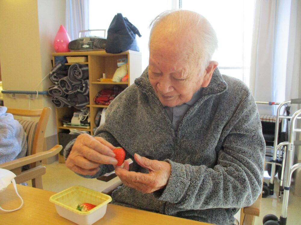 静岡市葵区有料老人ホーム_イチゴの食べ比べ