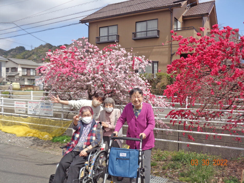 静岡清水区老人ホーム_花桃