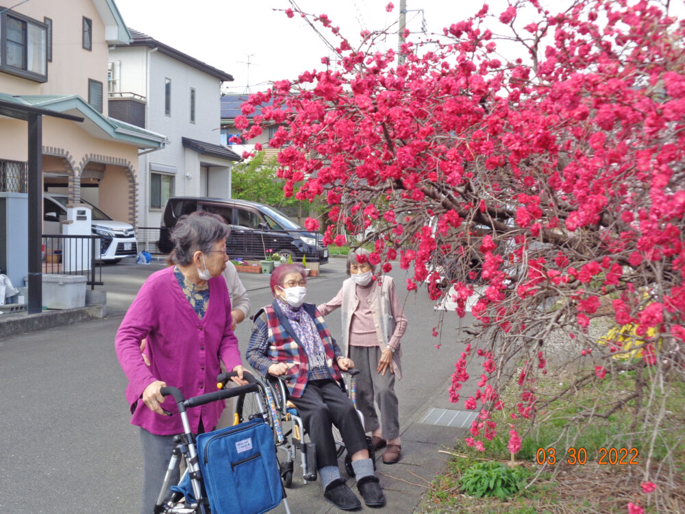 静岡清水区老人ホーム_花桃