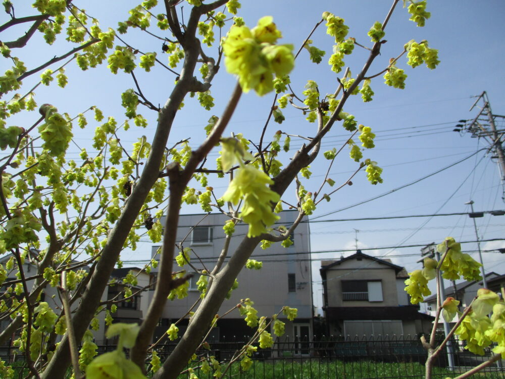 静岡市駿河区有料老人ホーム_散歩コース