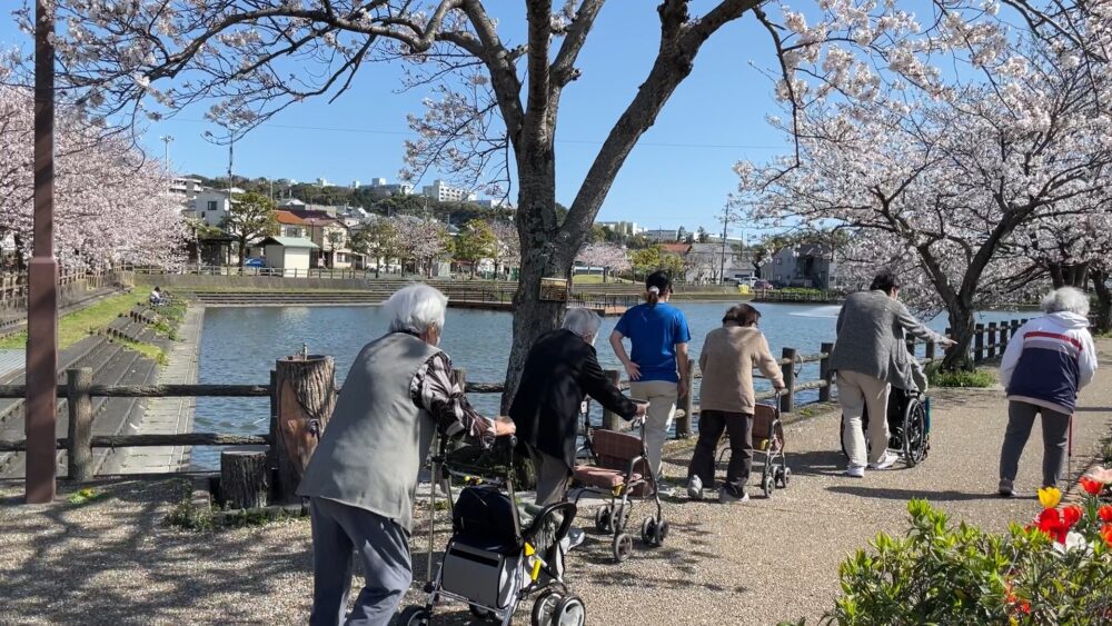 静岡市駿河区老人ホーム_桜