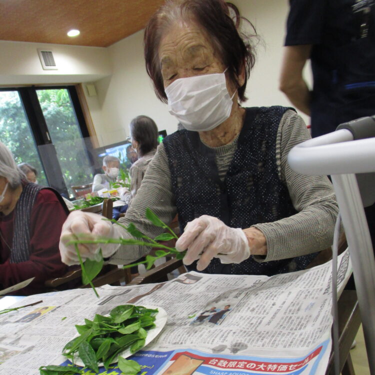 静岡市駿河区有料老人ホーム_お茶の新芽の天ぷら