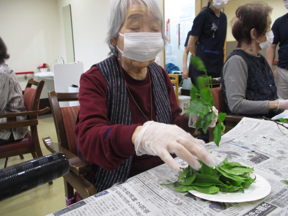 静岡市駿河区有料老人ホーム_お茶の新芽の天ぷら