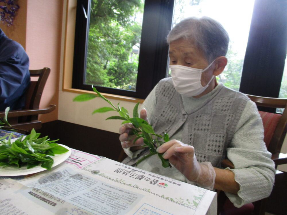 静岡市駿河区有料老人ホーム_お茶の新芽の天ぷら