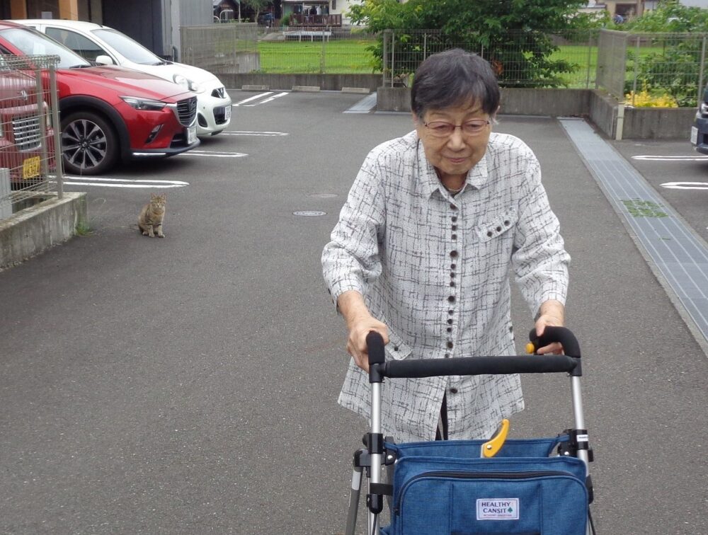 静岡清水区老人ホーム_紫陽花