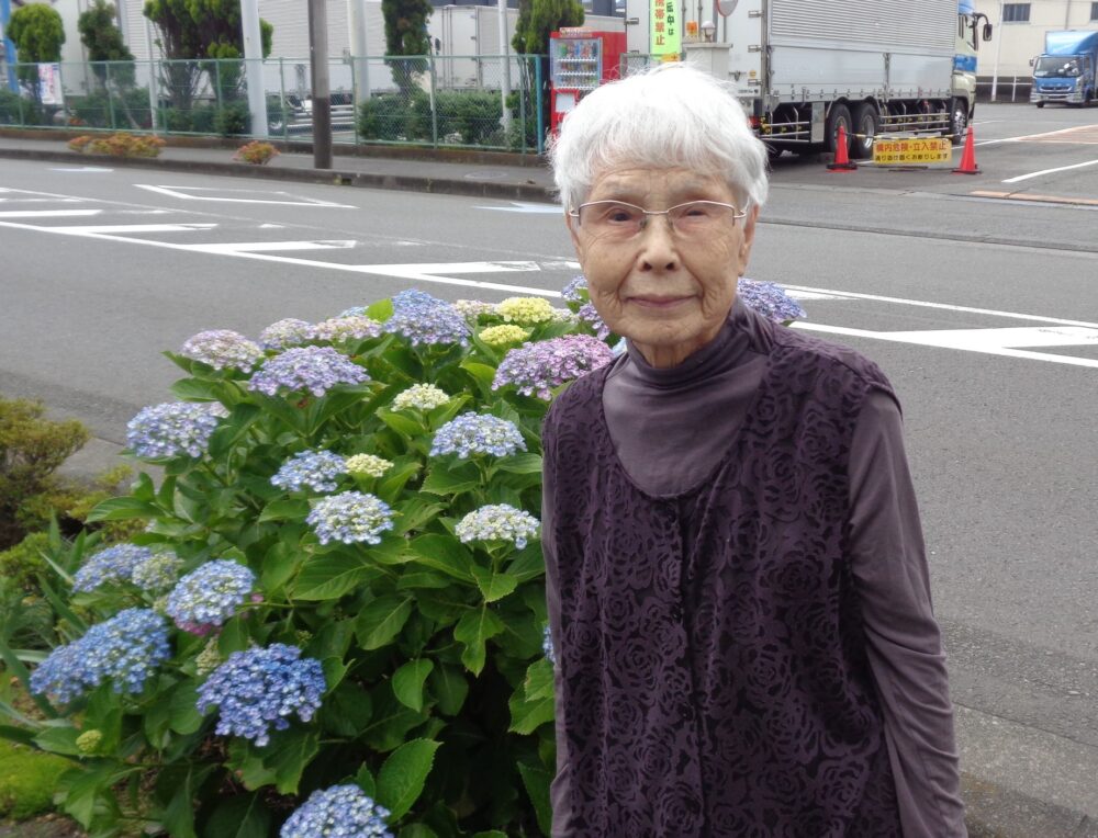 静岡清水区老人ホーム_紫陽花