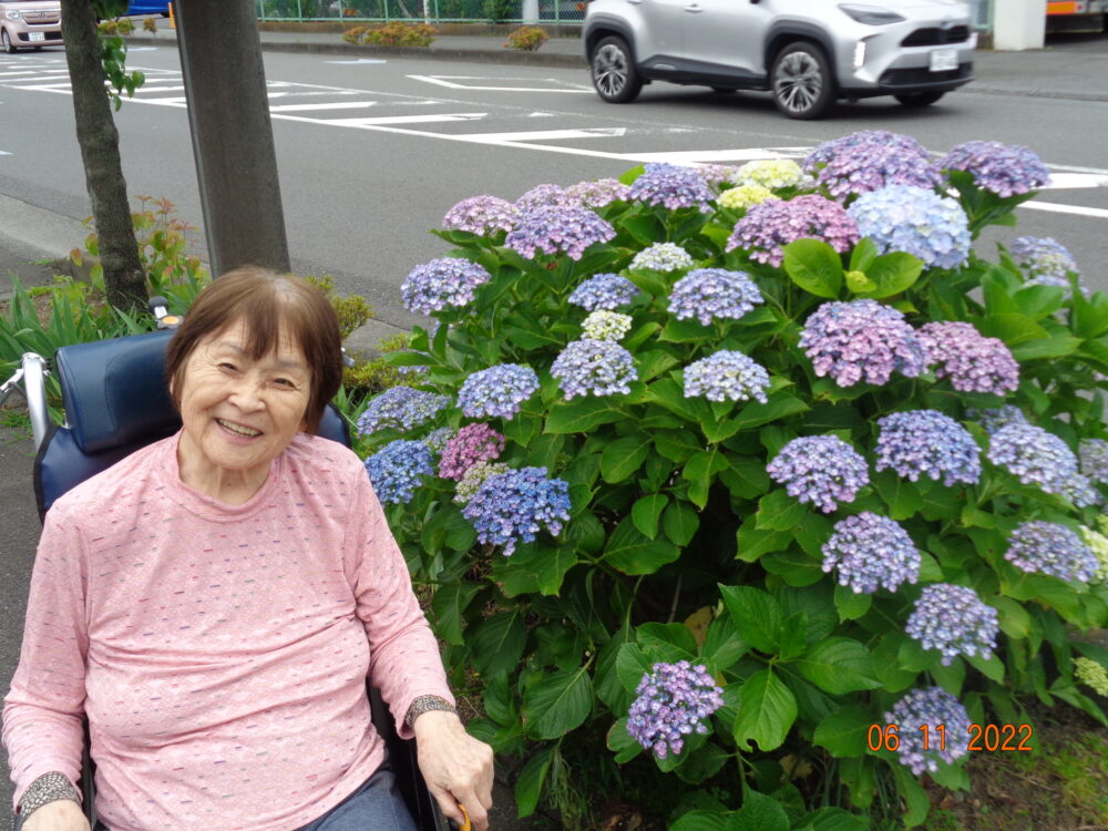 静岡清水区老人ホーム_紫陽花