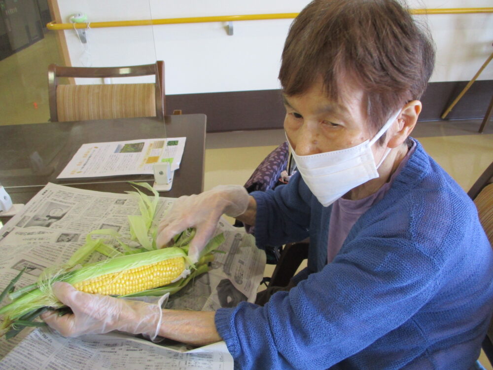 静岡市駿河区有料老人ホーム_夏の味覚とうもろこし