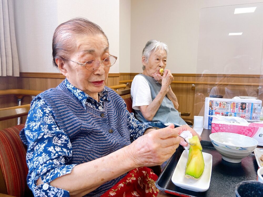 藤枝市老人ホーム_いしがみ農園のメロン