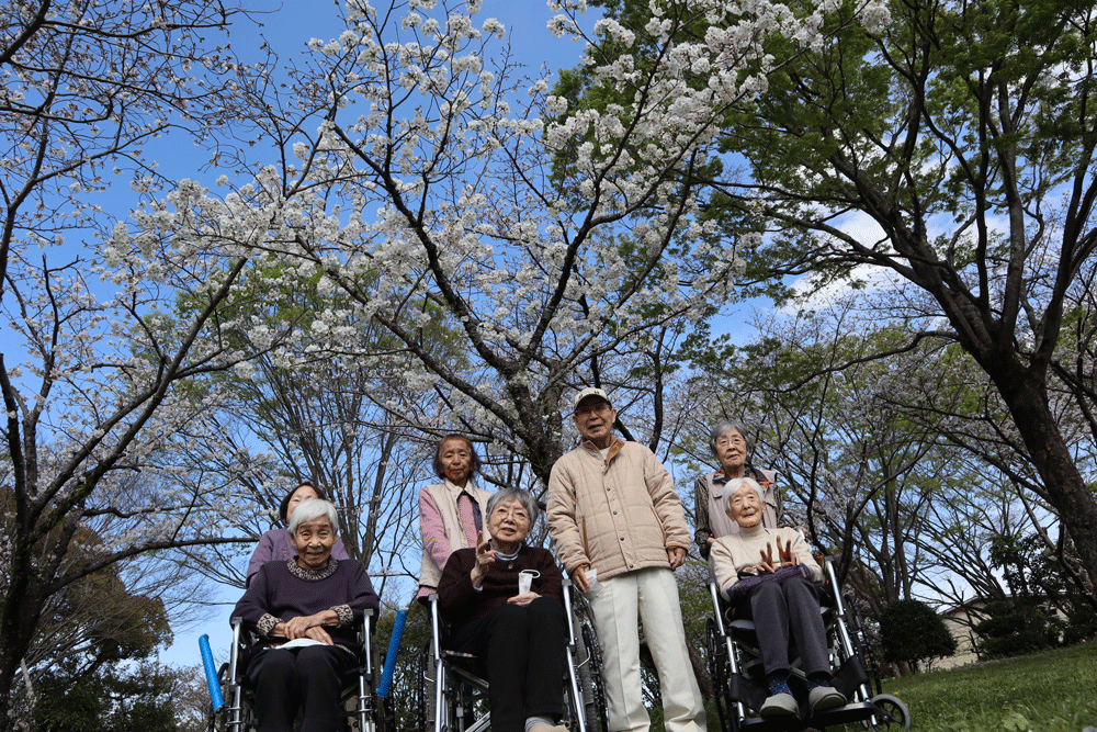 静岡市葵区有料老人ホーム_お花見