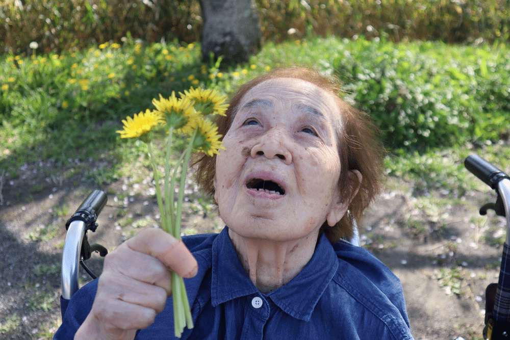 静岡市葵区有料老人ホーム_お花見