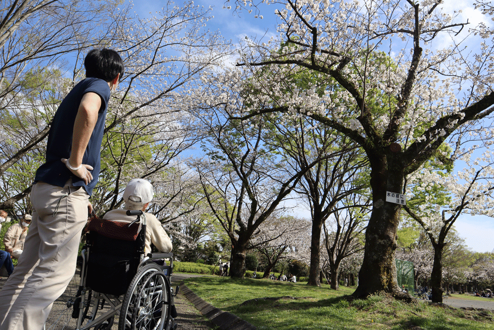 静岡市葵区有料老人ホーム_お花見