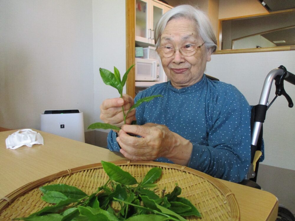 静岡市葵区老人ホーム_茶摘みと茶そばの会