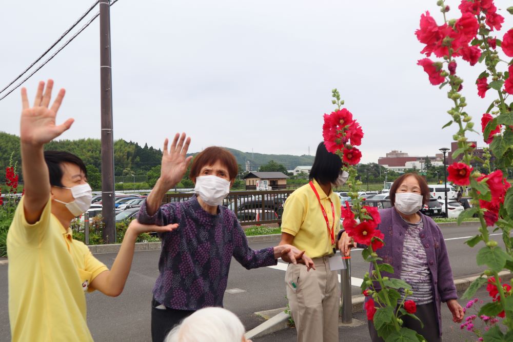 静岡市葵区有料老人ホーム_季節を感じるタチアオイ