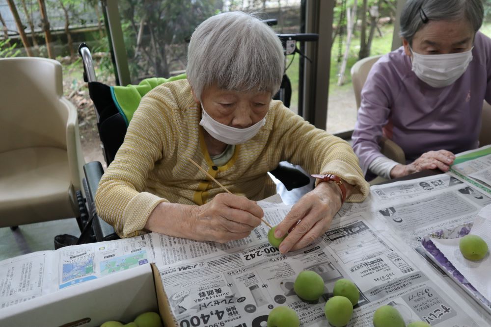 静岡市葵区有料老人ホーム_季節を感じる梅仕事