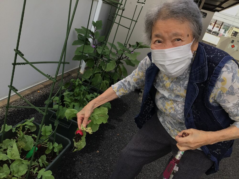 浜松市老人ホーム_併設のデイサービスで行う園芸療法