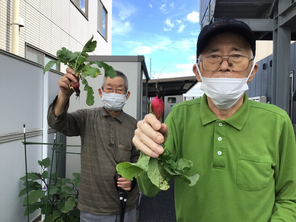 浜松市老人ホーム_併設のデイサービスで行う園芸療法