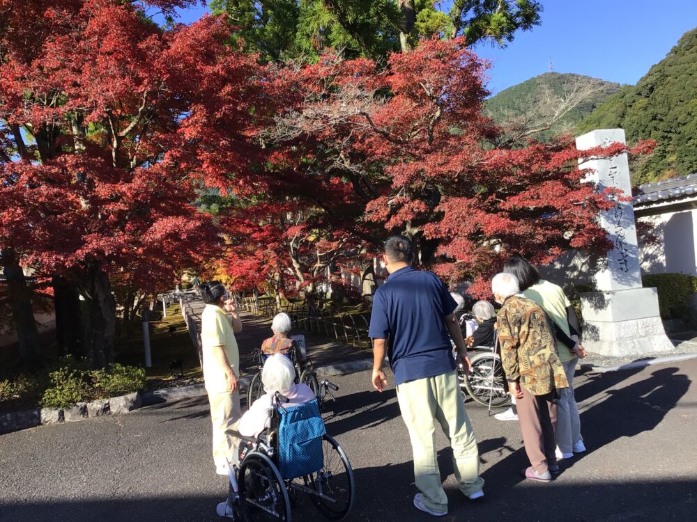 静岡市葵区老人ホーム_紅葉狩りドライブ