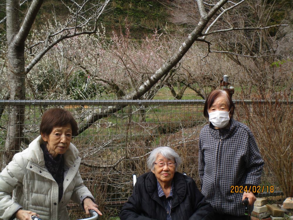 静岡市清水区老人ホーム_ふれあいの里河津桜梅花見