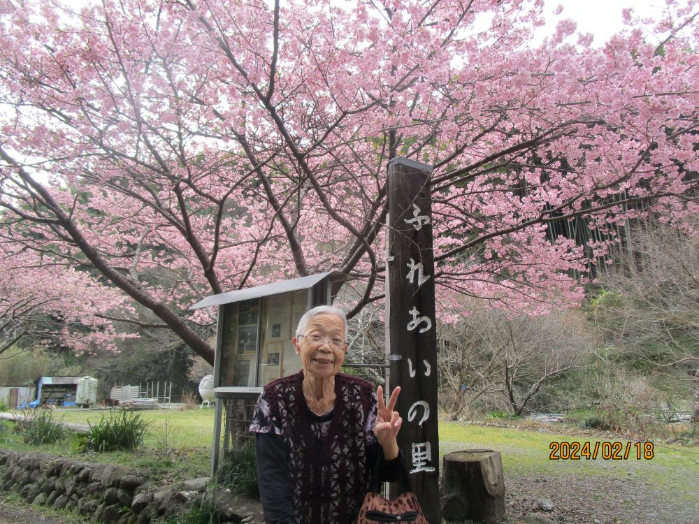 静岡市清水区老人ホーム_ふれあいの里河津桜梅花見