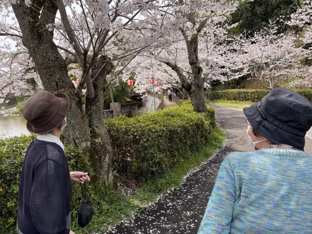 静岡市駿河区有料老人ホーム_お花見イベント