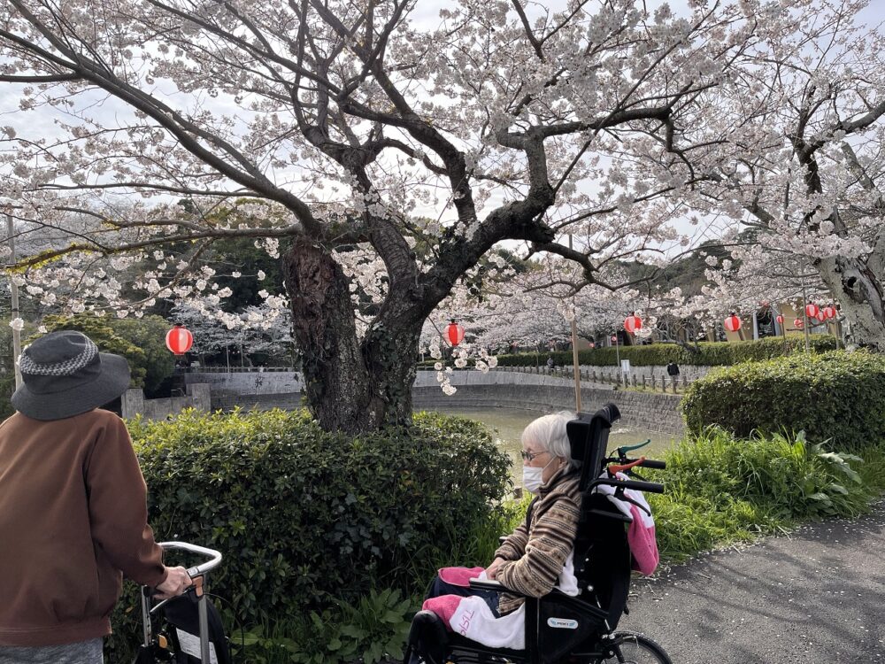 静岡市駿河区有料老人ホーム_お花見イベント