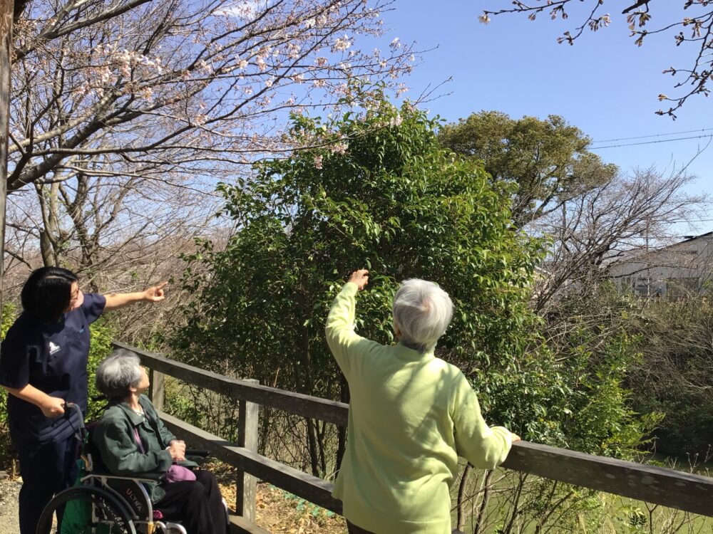 浜松市老人ホーム_春の散歩と短歌