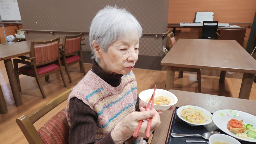 駿東郡長泉町老人ホーム_ご当地料理の旅in宮崎