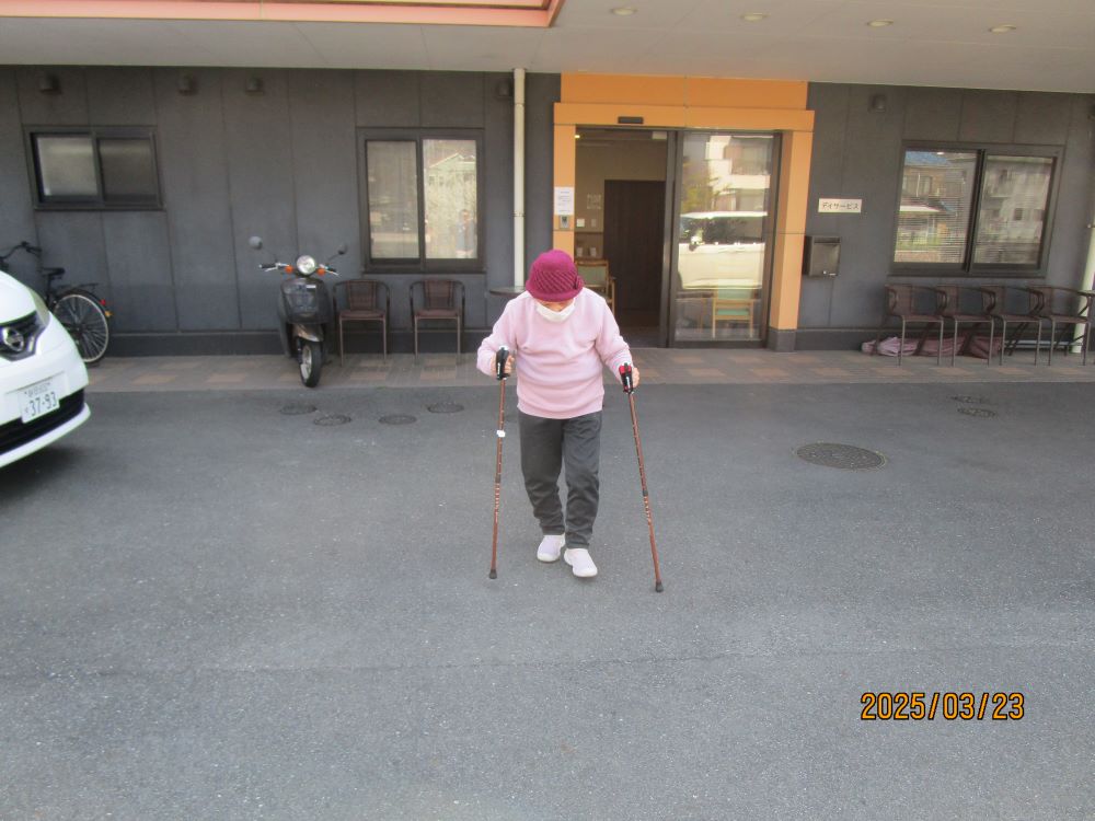 静岡市清水区老人ホーム_駐車場には四季がたくさん