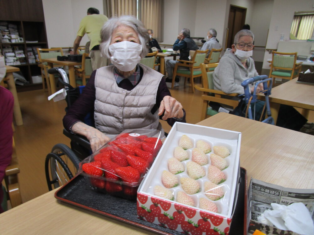 藤枝市老人ホーム_3月のおもてなし苺の食べ比べ
