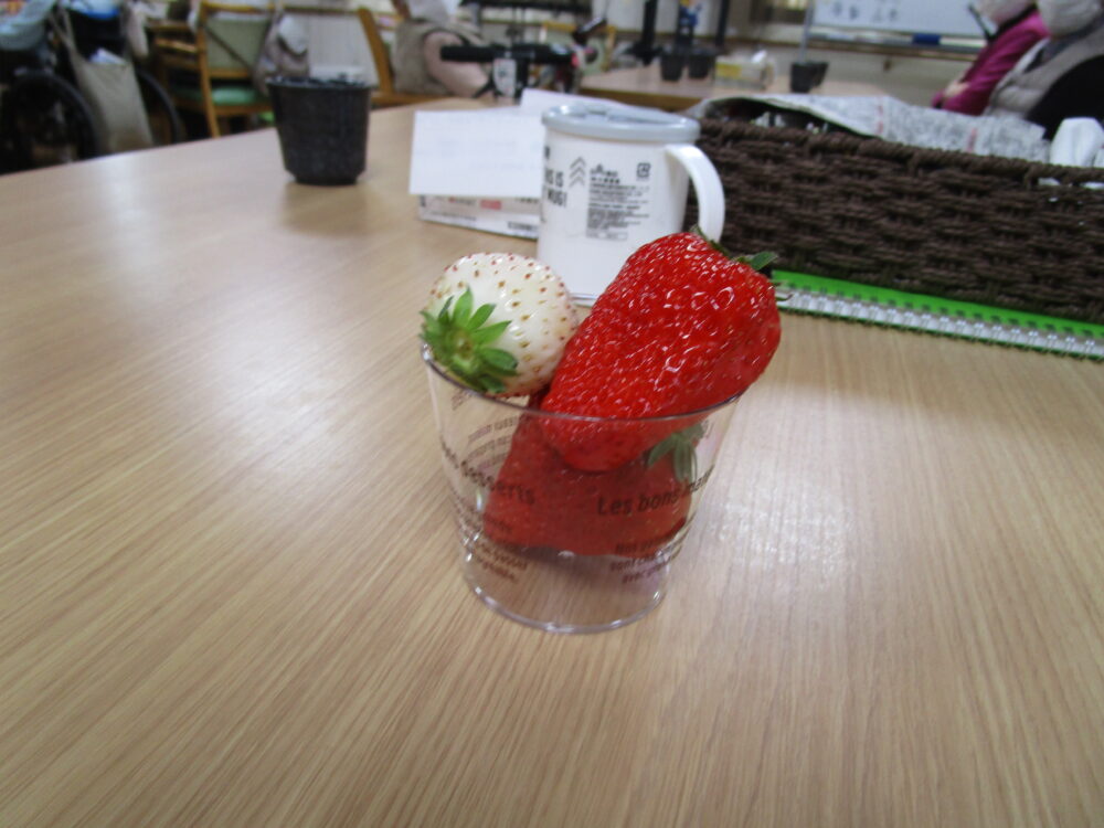 藤枝市老人ホーム_3月のおもてなし苺の食べ比べ