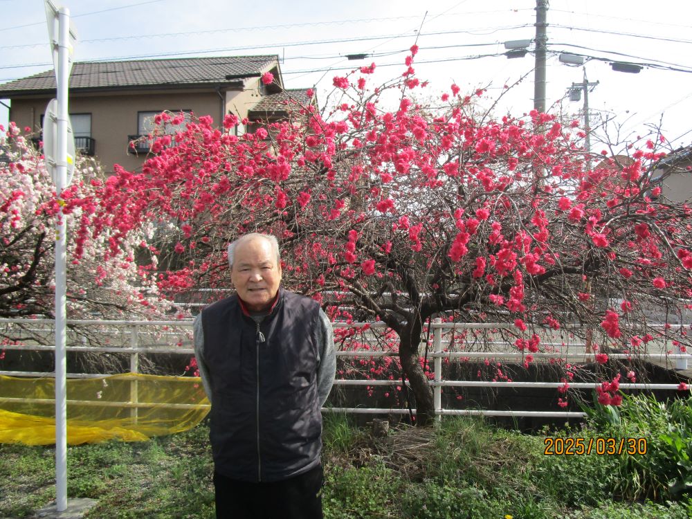 静岡市清水区老人ホーム_お花見花桃桜