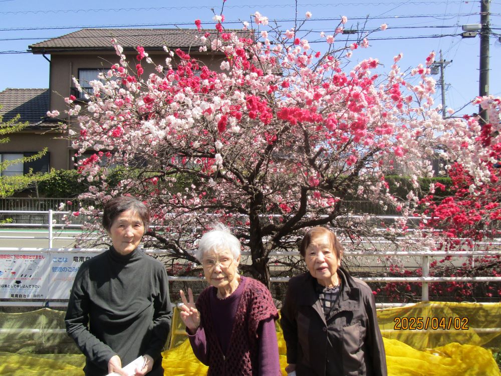 静岡市清水区老人ホーム_お花見花桃桜
