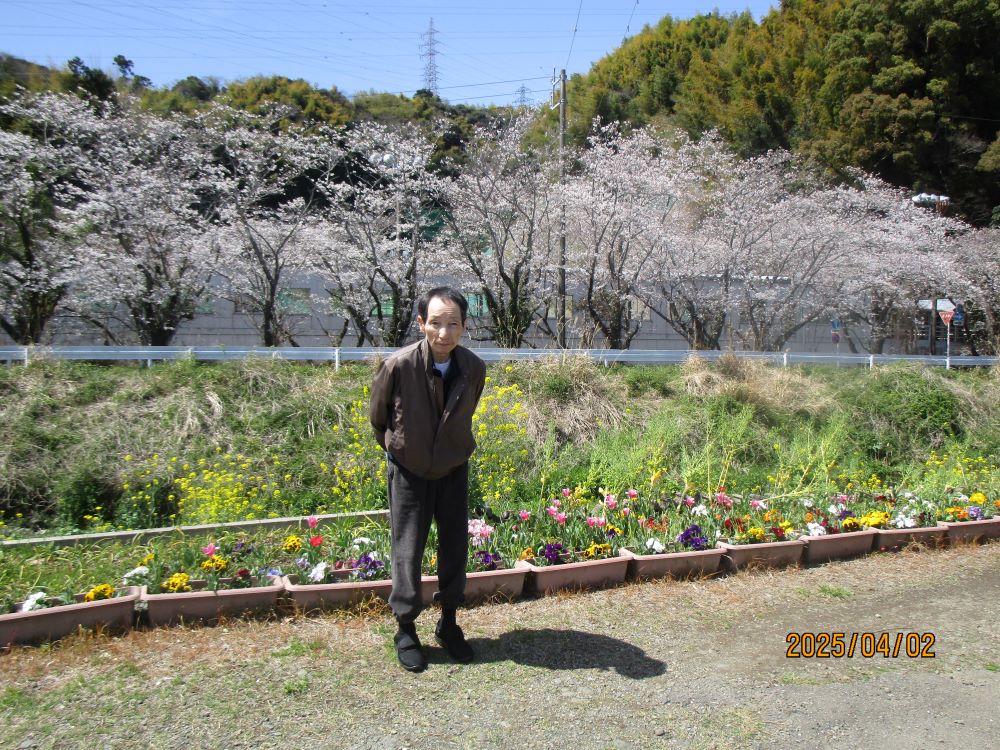 静岡市清水区老人ホーム_お花見花桃桜