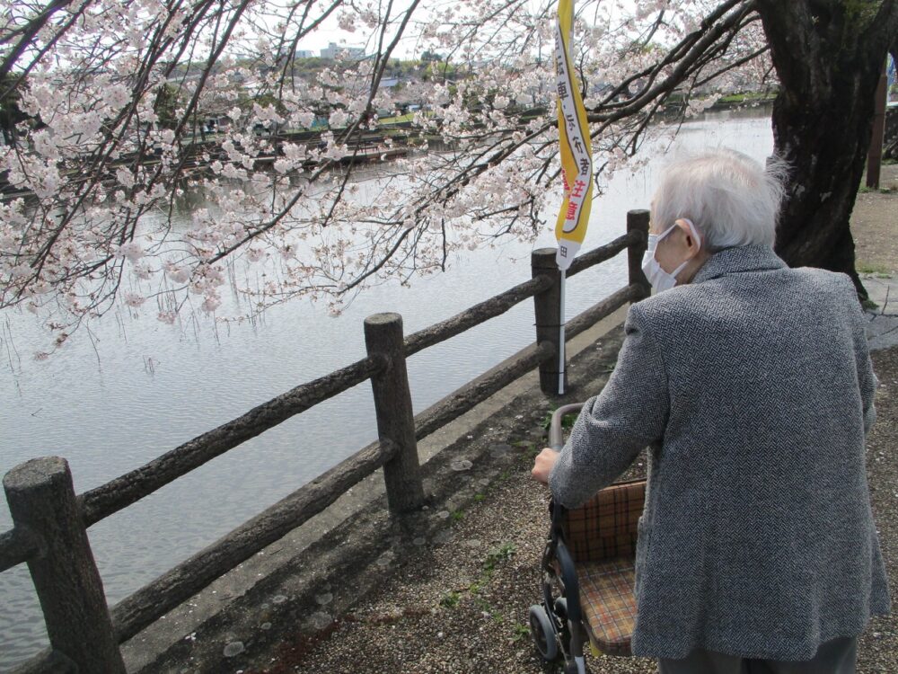 静岡市駿河区有料老人ホーム_お花見