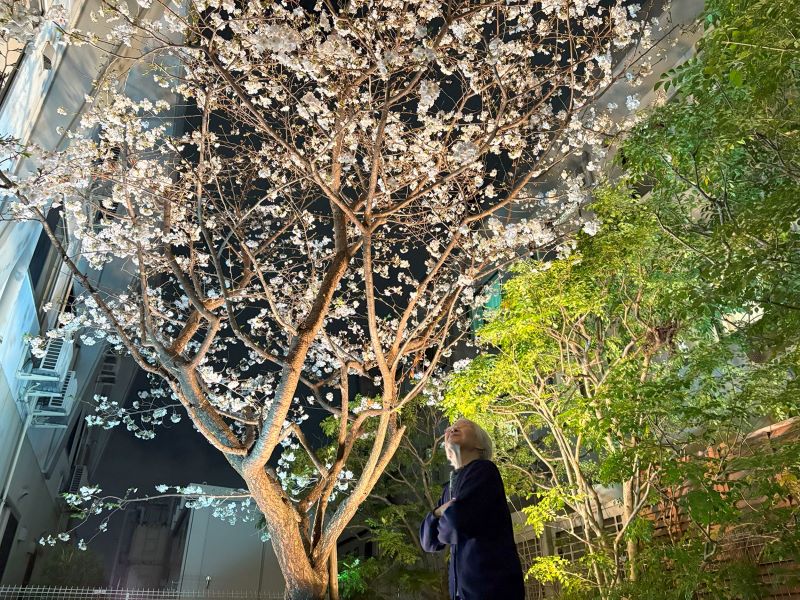 静岡市葵区老人ホーム_千代田の桜とお花見ドライブ