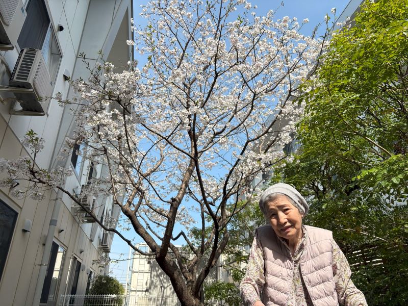 静岡市葵区老人ホーム_千代田の桜とお花見ドライブ
