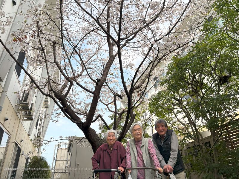 静岡市葵区老人ホーム_千代田の桜とお花見ドライブ