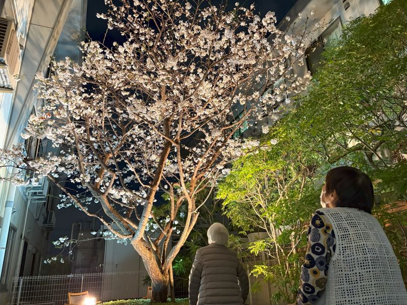 静岡市葵区老人ホーム_千代田の桜とお花見ドライブ