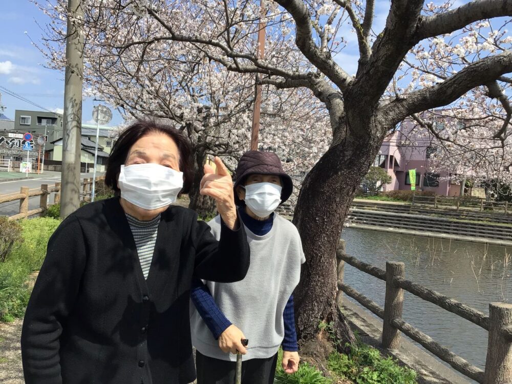静岡市駿河区有料老人ホーム_お花見