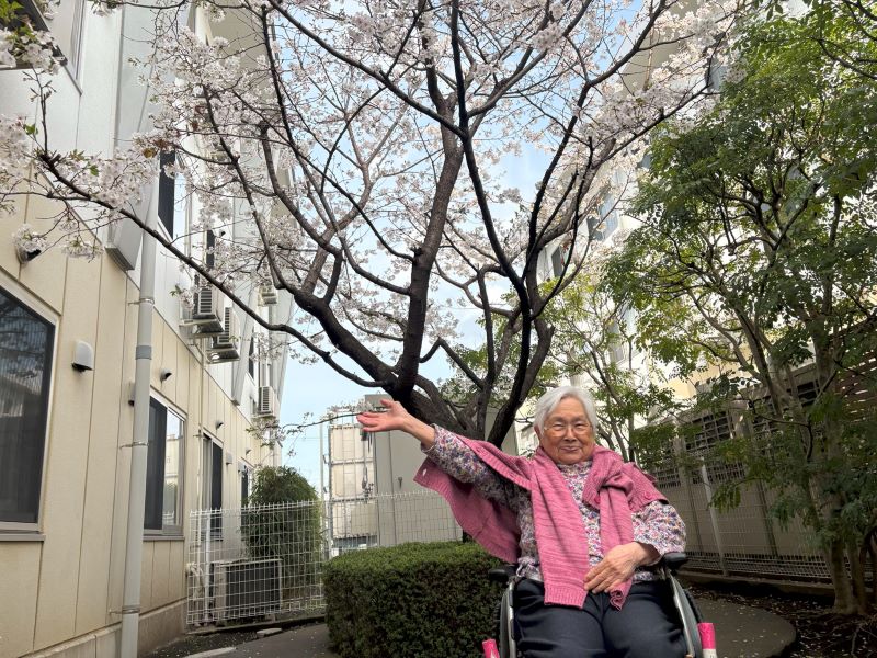 静岡市葵区老人ホーム_千代田の桜とお花見ドライブ