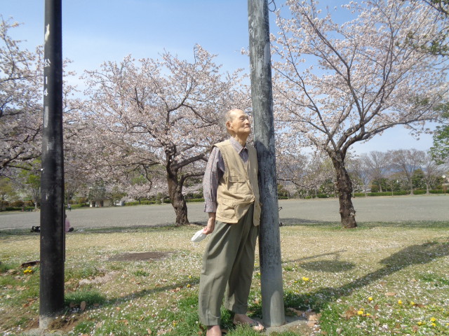 静岡市葵区有料老人ホーム_春を探しに城北公園へ