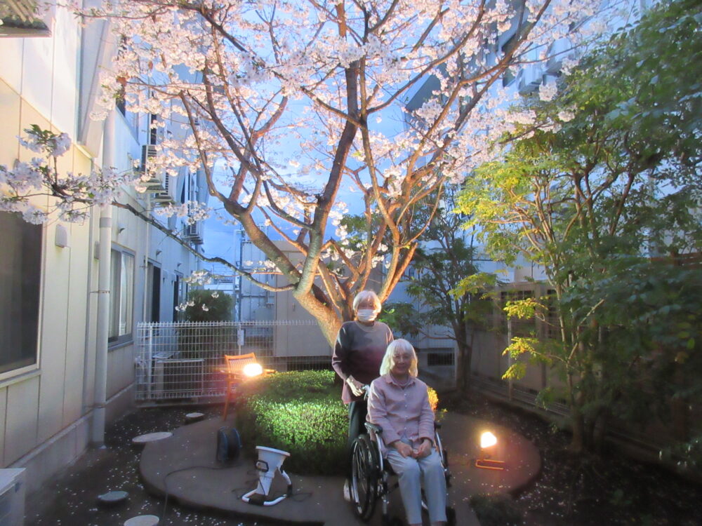 静岡市葵区有料老人ホーム_春のお花見と夜桜鑑賞会