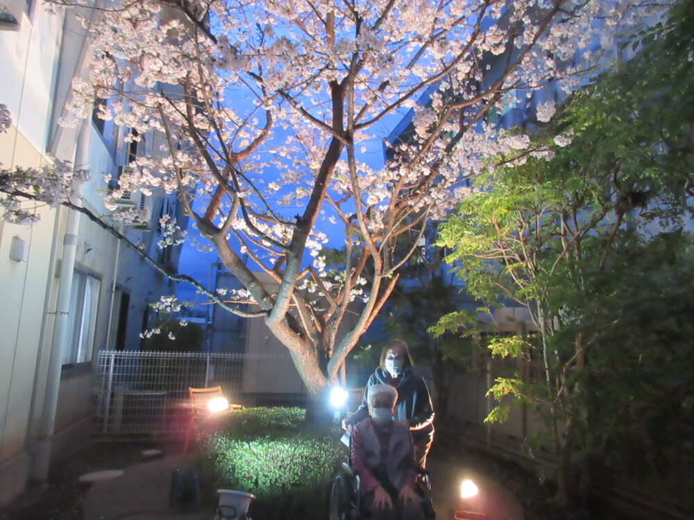静岡市葵区有料老人ホーム_春のお花見と夜桜鑑賞会
