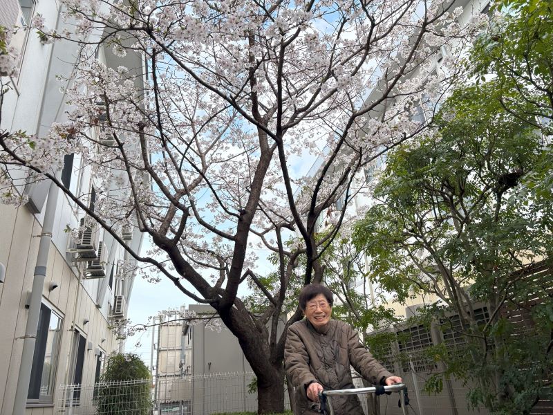 静岡市葵区老人ホーム_千代田の桜とお花見ドライブ