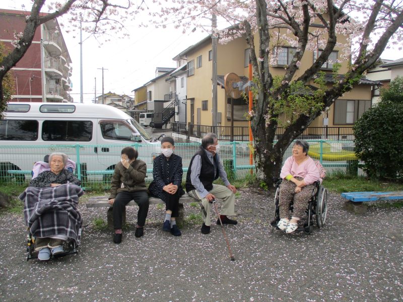 静岡市葵区老人ホーム_千代田の桜とお花見ドライブ