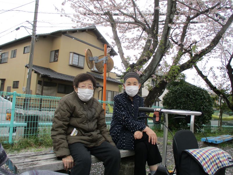 静岡市葵区老人ホーム_千代田の桜とお花見ドライブ