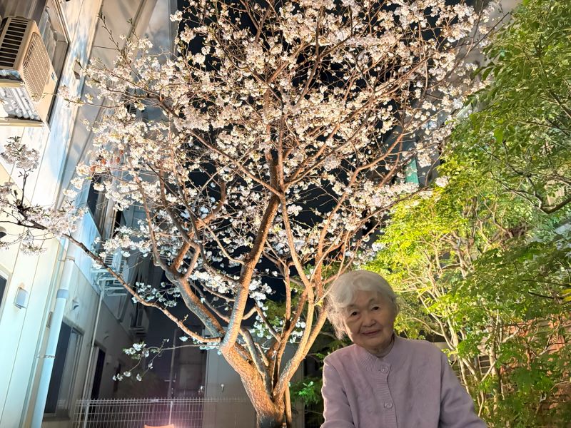 静岡市葵区老人ホーム_千代田の桜とお花見ドライブ