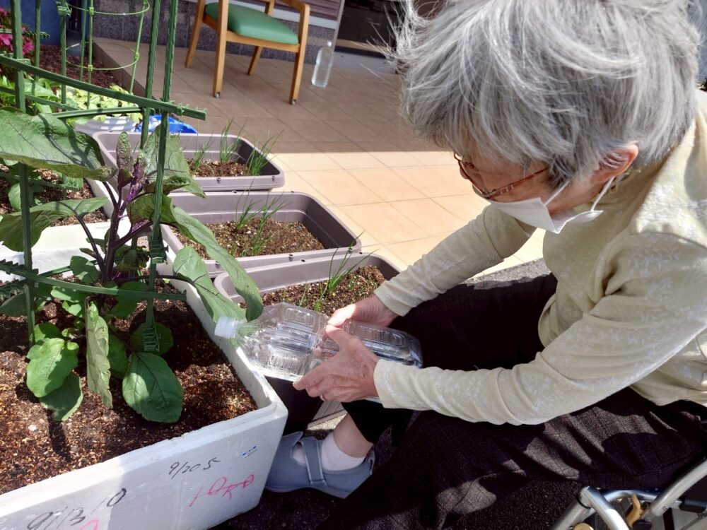藤枝市老人ホーム_野菜作り活動